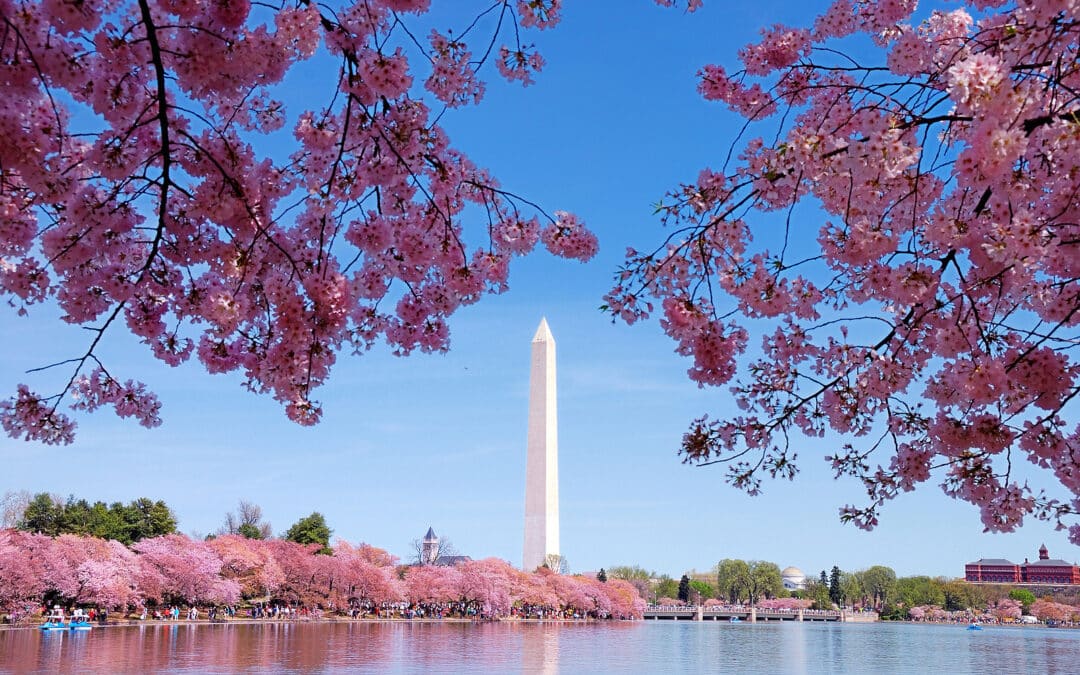 Tripps Worldwide Washington, DC Historical Travel Reviews