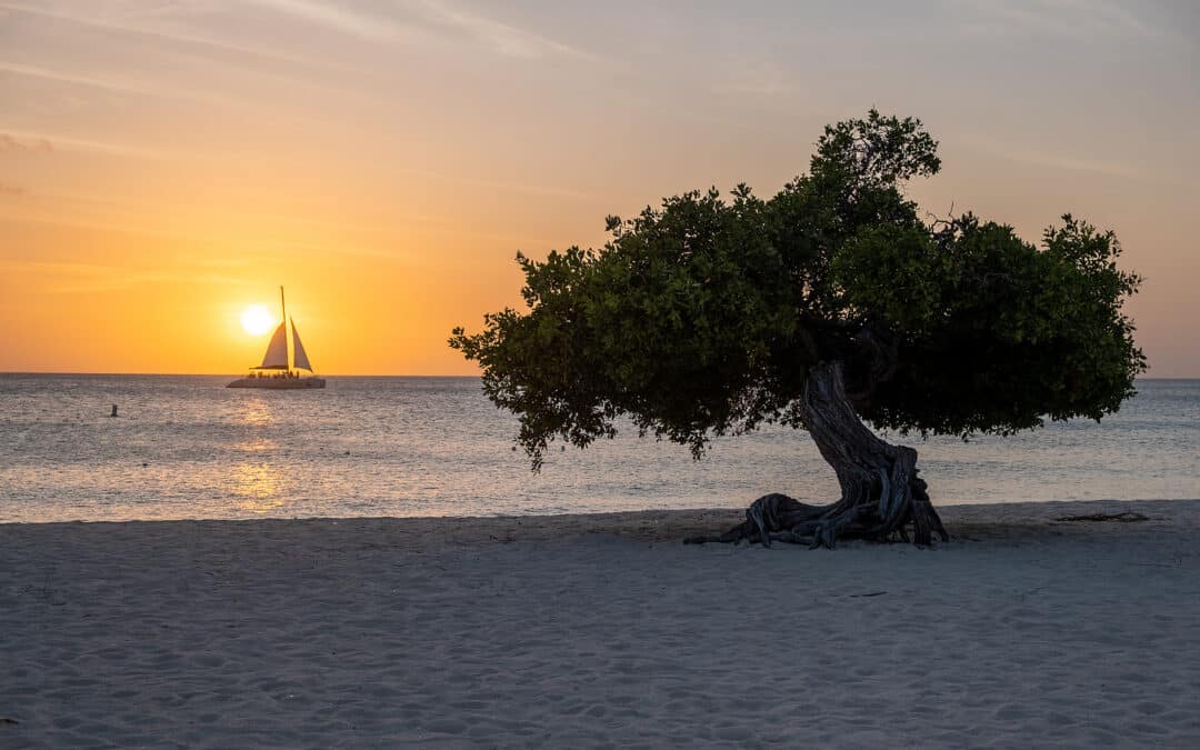 Explore the Stunning Beaches of Aruba with Tripps Worldwide 3